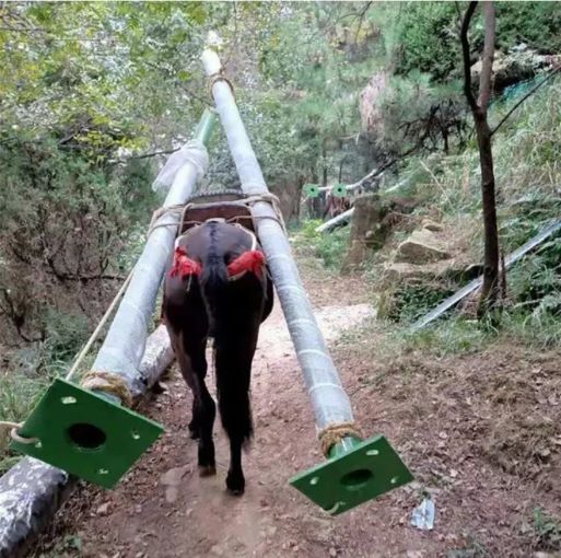 湘西骡马运输队